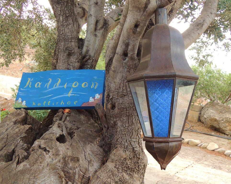 Kalliroe Apartments -Creta アギア・ガリニ エクステリア 写真